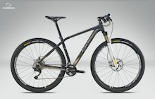 Orbea Alma 29 H10