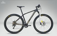 Orbea Alma 29 H50