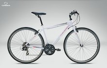 Orbea Sport A40
