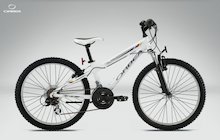 Orbea Team 24