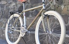 Panasonic Mountain Cat