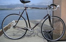 Panasonic Sport 1000