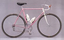 Panasonic Team Europe 1