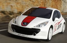 Peugeot 207 RCup
