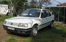 Peugeot 309 SX