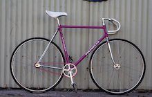 Pinarello Bassano Pista