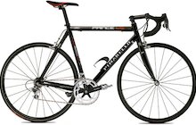 Pinarello Prince LS