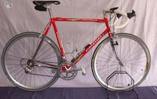 Pinarello Stelvio