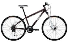Pinnacle Willow 2