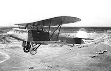 Polikarpov R-Z
