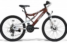 Polygon Heron 24