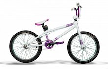 Polygon Rudge Dirt