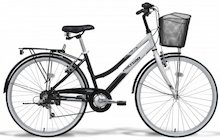 Polygon Sierra Alloy