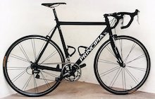 Principia Rex