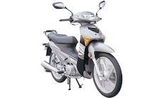 Qingqi QM110-3G