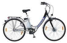 Raleigh 36V