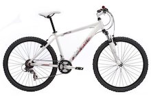 Raleigh All Terrain 10 Max
