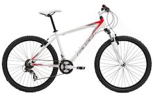 Raleigh All Terrain 10