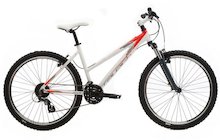 Raleigh All Terrain 20 W Sport