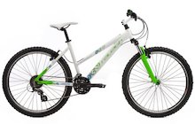 Raleigh All Terrain 20 W