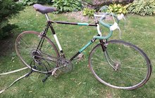 Raleigh Carlton