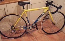 Raleigh Chimera