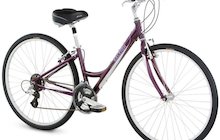 Raleigh Detour 3.5