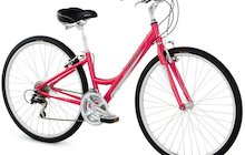 Raleigh Detour 4.5