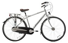 Raleigh Elan