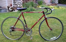 Raleigh Firebird