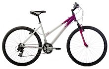 Raleigh Freeride AT10 W