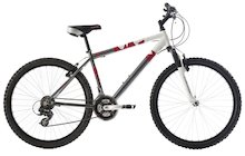 Raleigh Freeride AT10