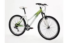Raleigh Freeride AT20 W