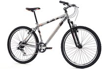 Raleigh Freeride AT20