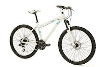 Raleigh Freeride AT30 W