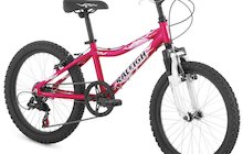 Raleigh Lily