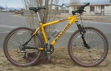 Raleigh M800