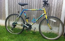 Raleigh Mantis