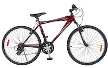 Raleigh Matterhorn
