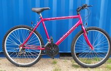 Raleigh Max Ogre