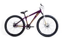 Raleigh Max