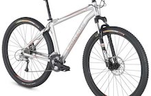 Raleigh Mojave 29