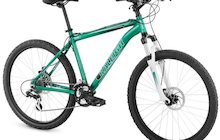 Raleigh Mojave 4.0