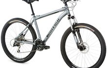 Raleigh Mojave 5.0
