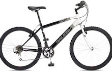 Raleigh MT10