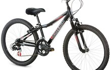 Raleigh MTN Scout