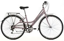 Raleigh Pioneer 1 W