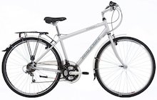 Raleigh Pioneer 1