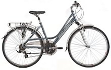 Raleigh Pioneer 2 W
