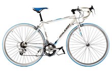 Raleigh Pursuit